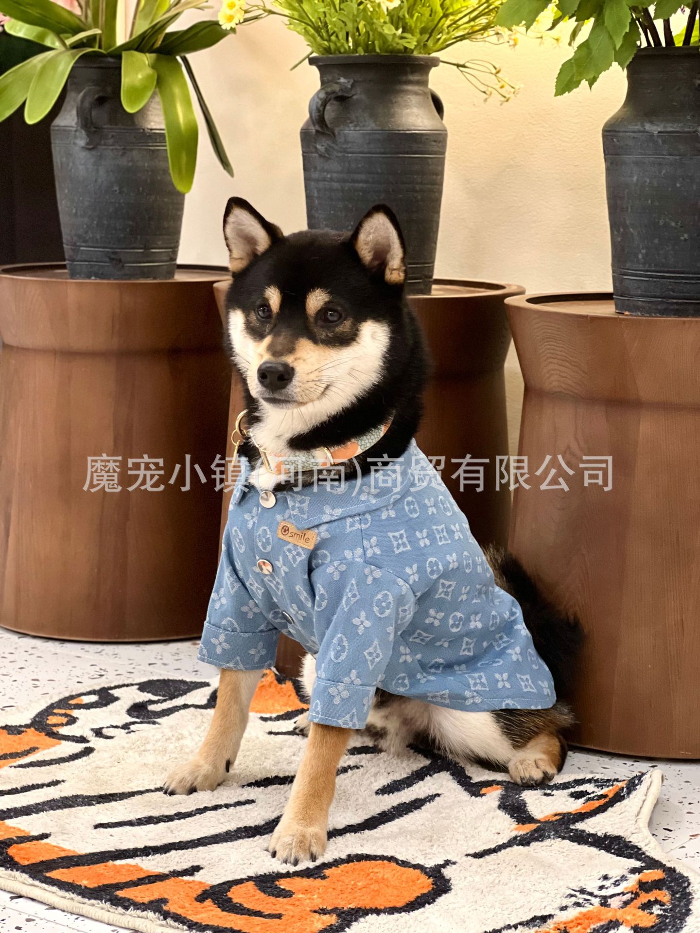 2023-03-08 210743.jpg