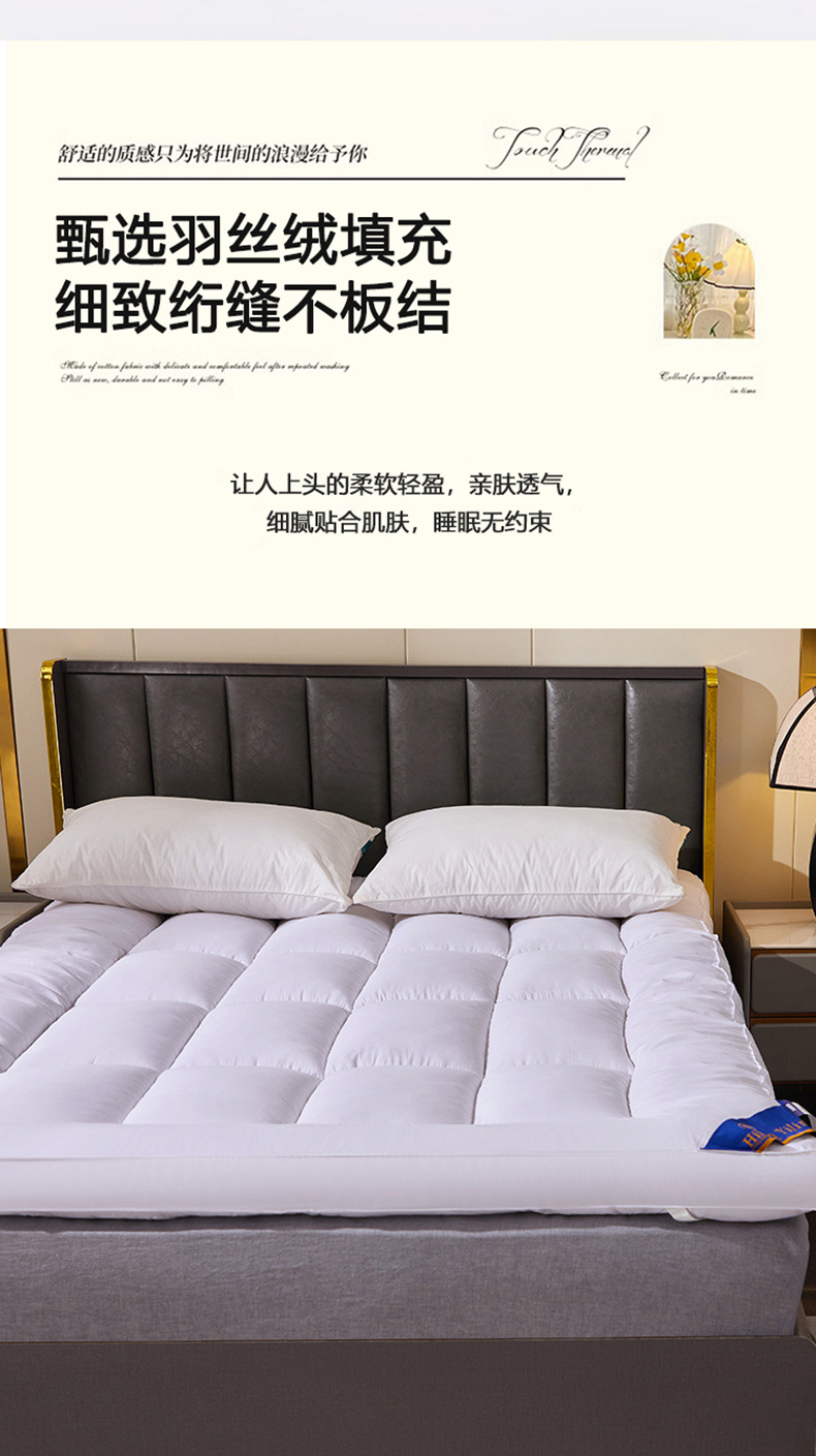 395c1a0c-e354-481c-8d89-cc0e1c18c6c3.jpe
