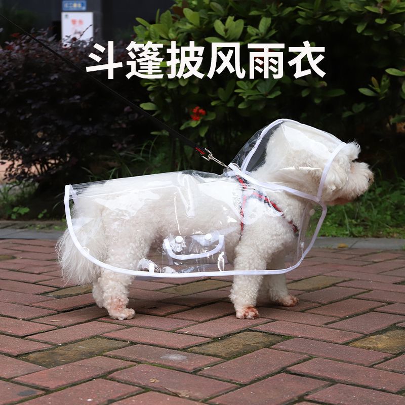 ddb45593-c8d4-4f98-b528-c68910a02667.jpe