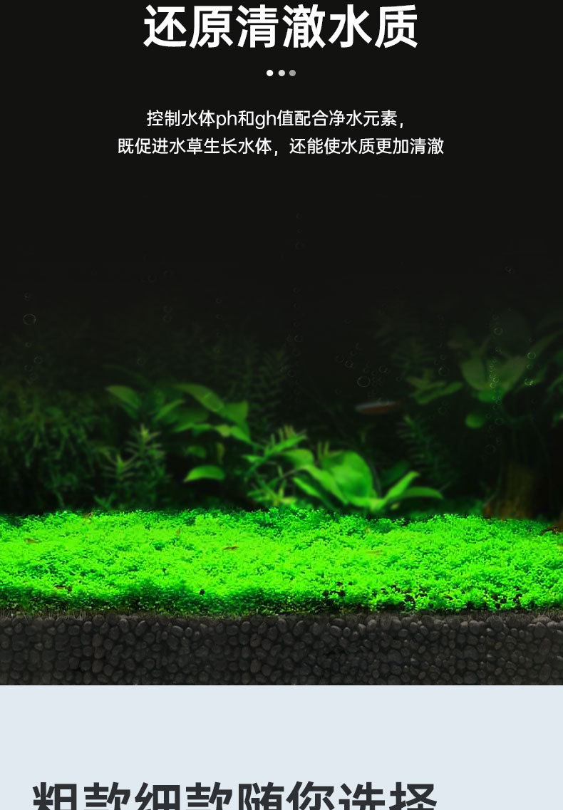详情_03.jpg