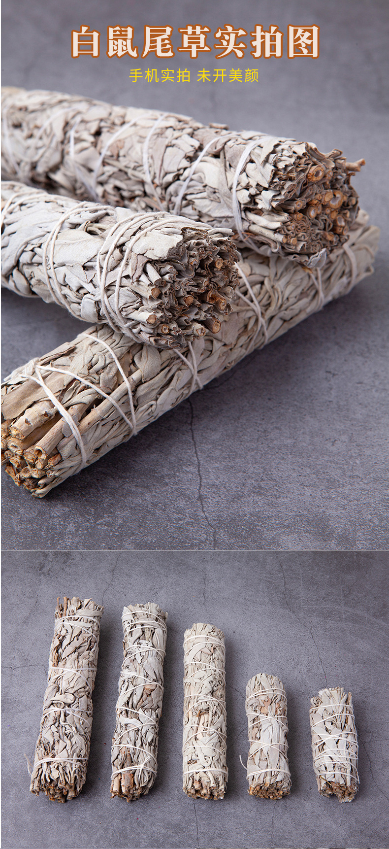鼠尾草综合详情 (7).jpg