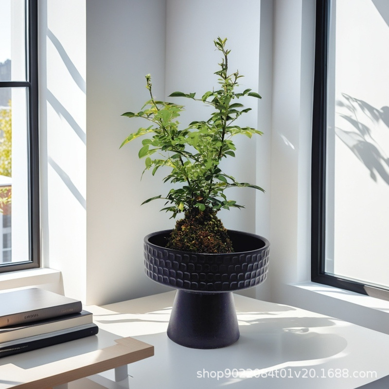 8024e28db6659923379f76e73004ea