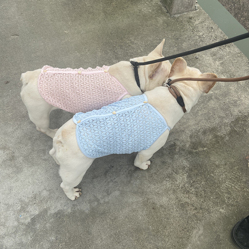 微信图片_20220126175242