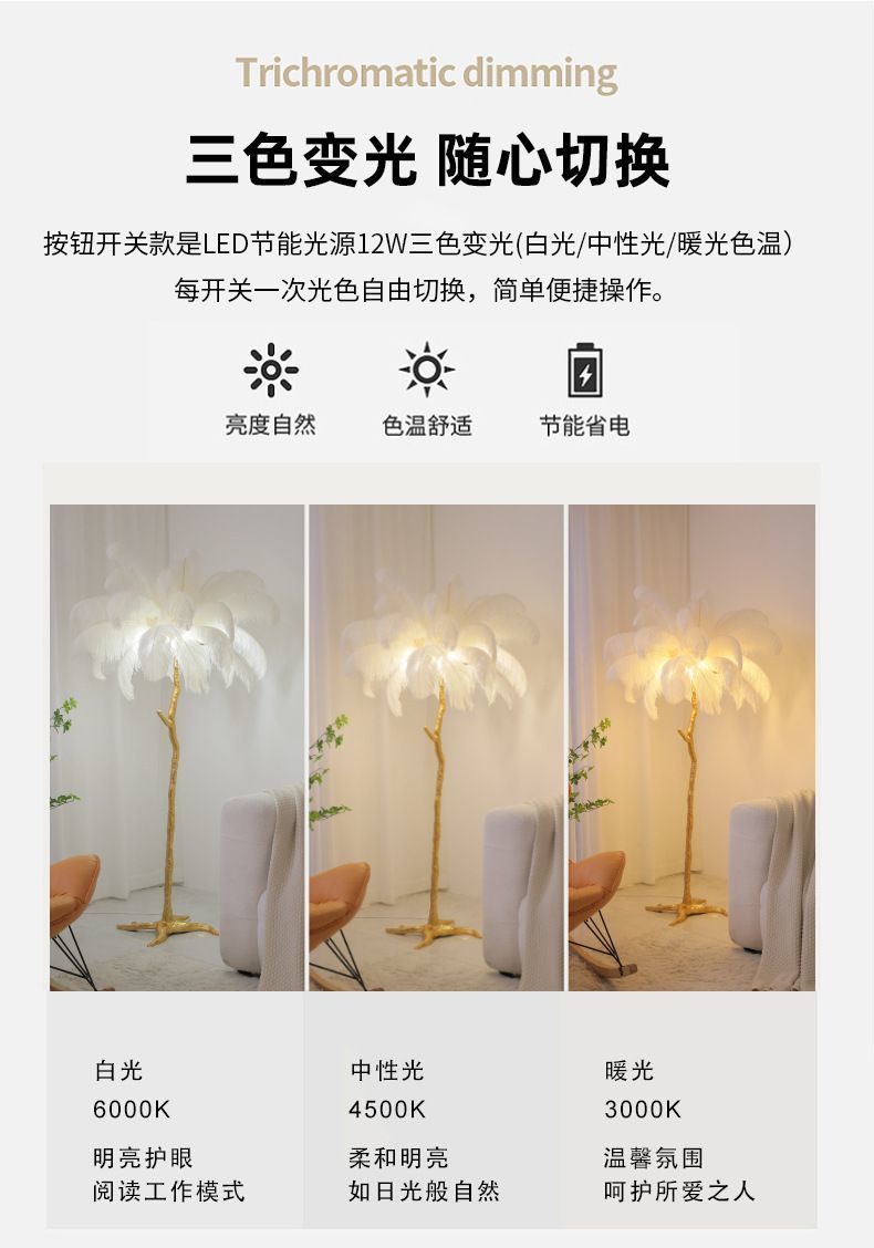 25320a56-0129-4194-9f9e-e88b04e061e1.jpe