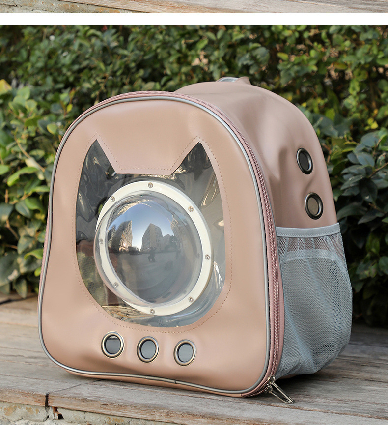 f6945a28-5d31-4bdb-8322-5f85e4a13ecf.jpe