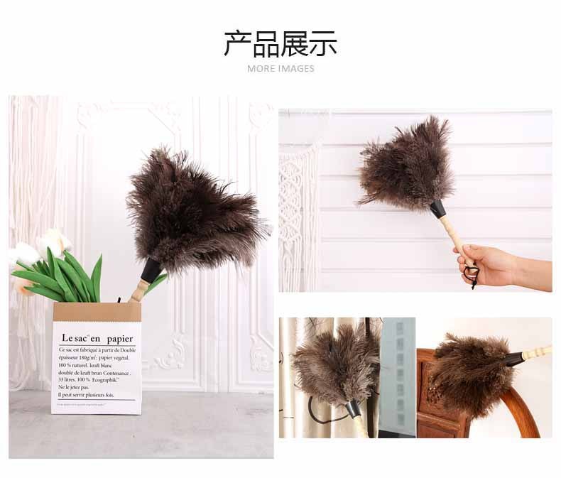 caa868b2-1d70-48d5-9c4c-2b6273aed4df.jpe