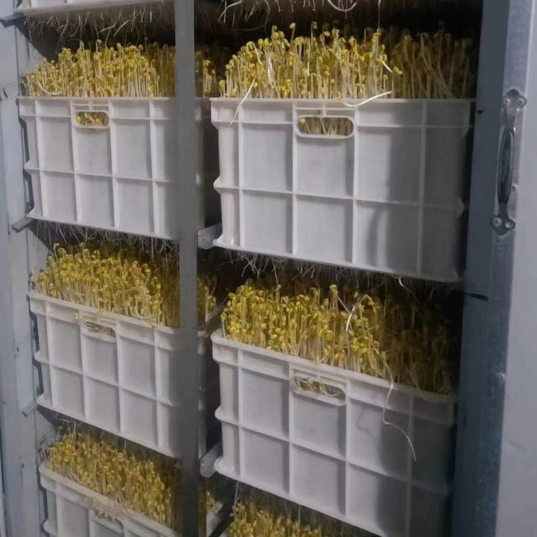 2023-11-23 15:49:48.jpg