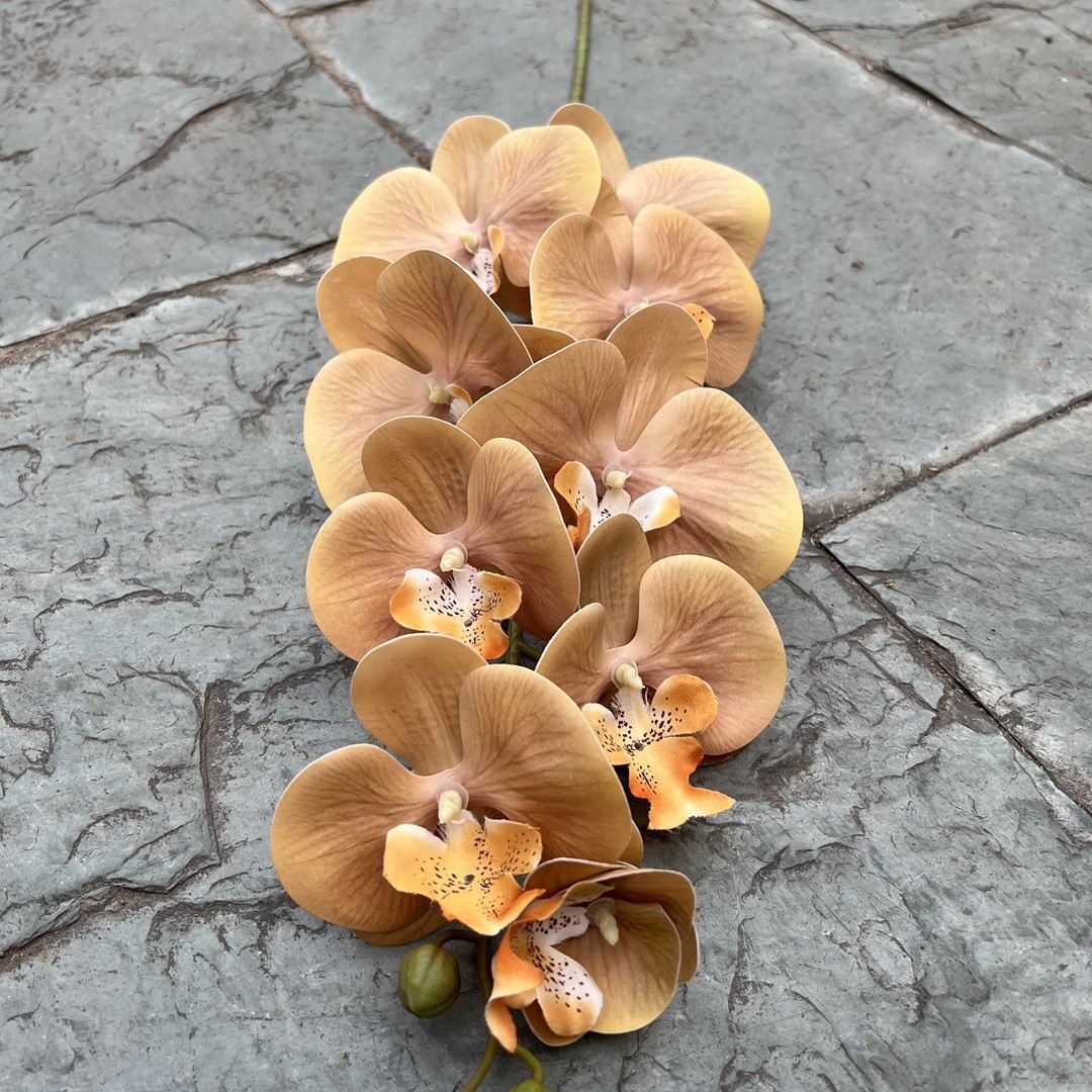 2024-11-07 16:26:12.jpg