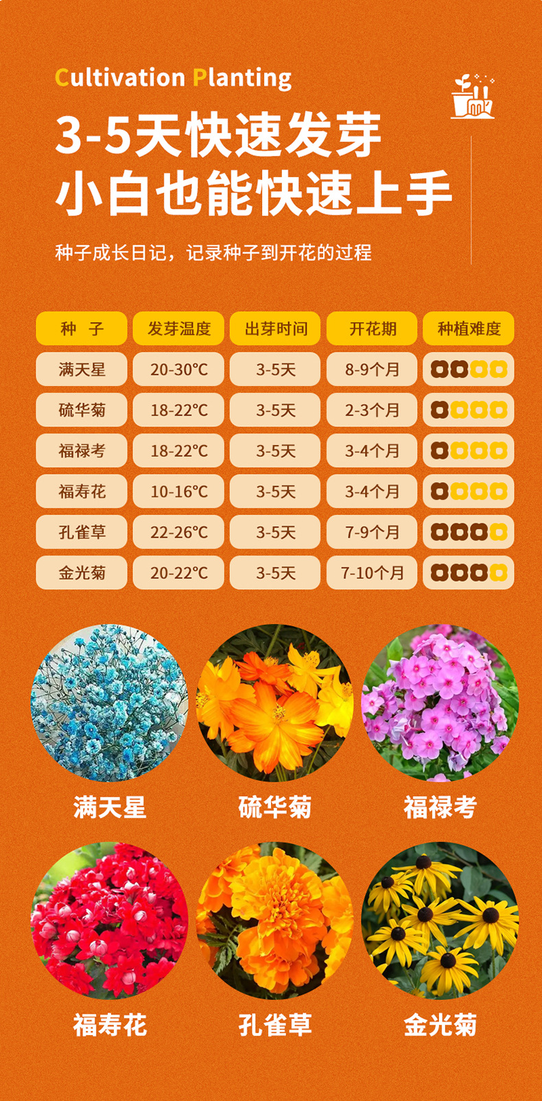 蘑菇屋小花园_08.jpg