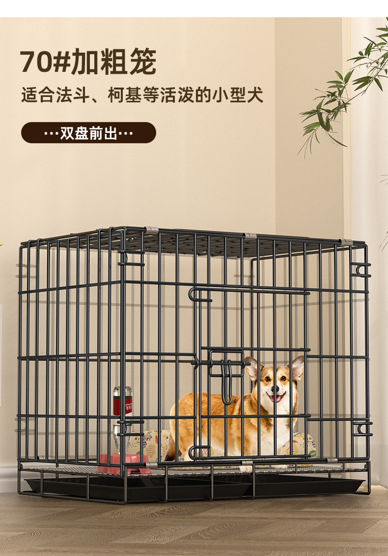 e0b4ff35-ccd4-4f45-a92e-397f7e1b59c8.jpe