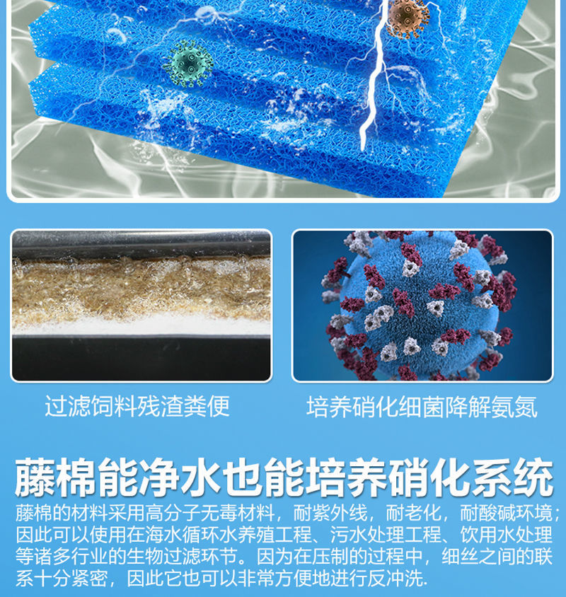 d31e8fac-4707-4e85-a00b-b4a80e430333.jpe