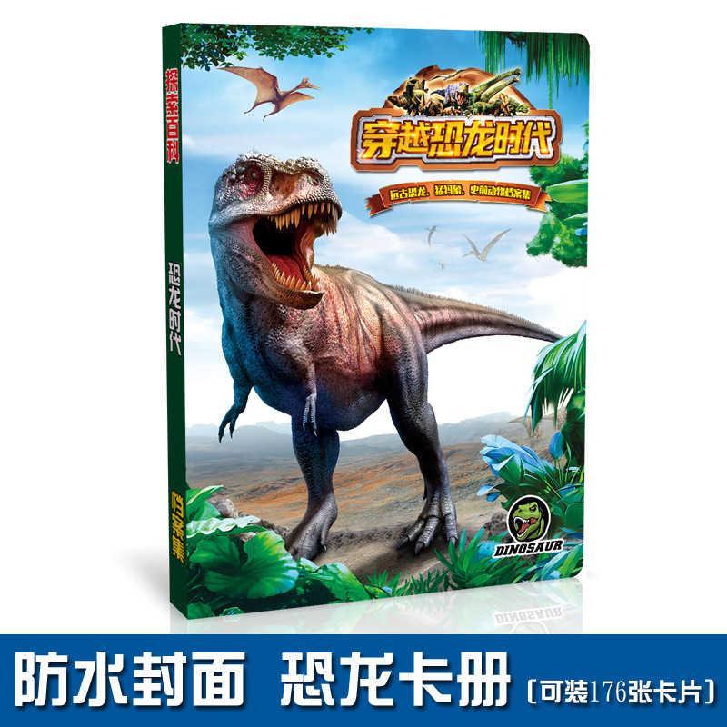 卡册正面