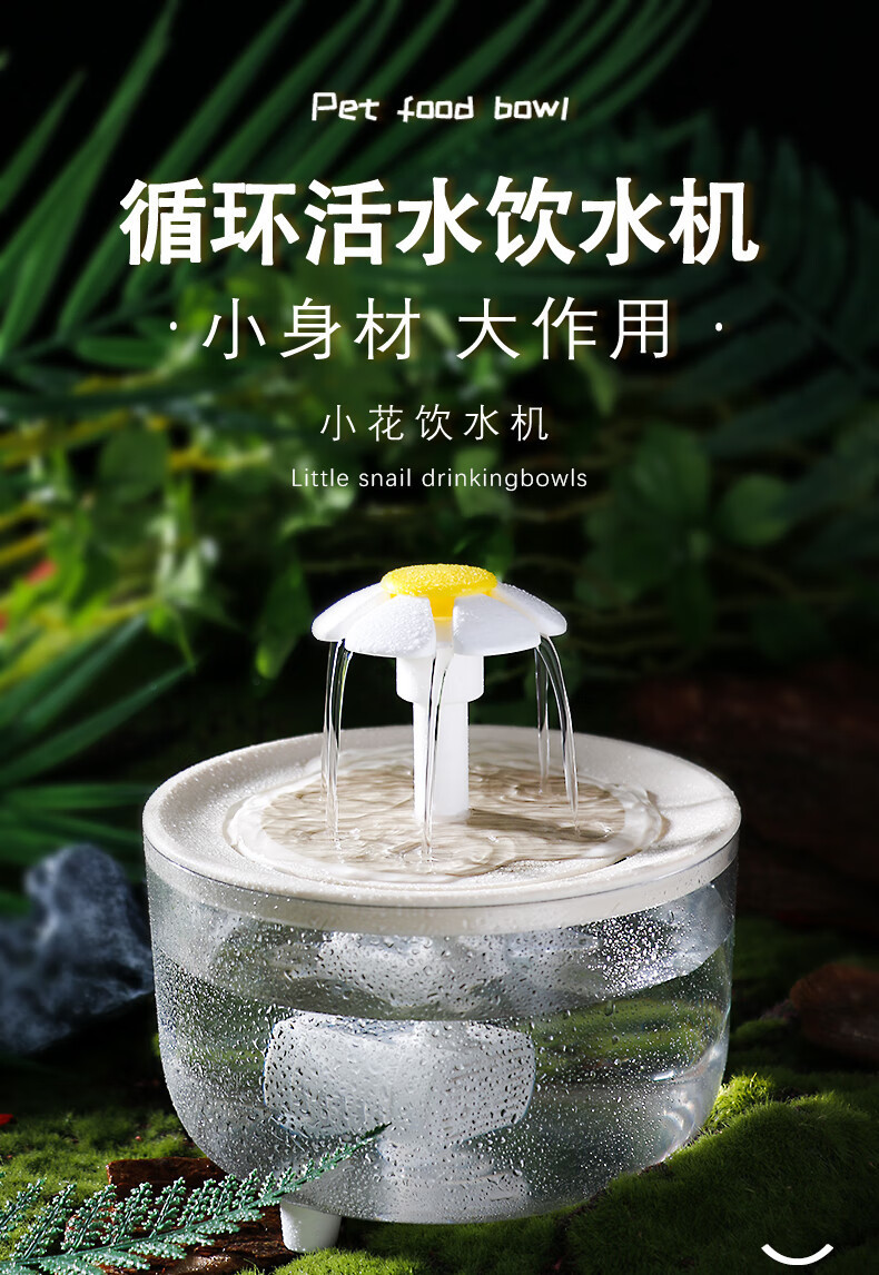 5c28ed25-efb8-4b1b-b16d-2898669afbe3.jpe