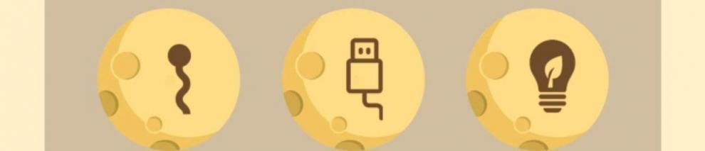 eff510fb-d4bf-4968-882b-95b850e703b9.jpe