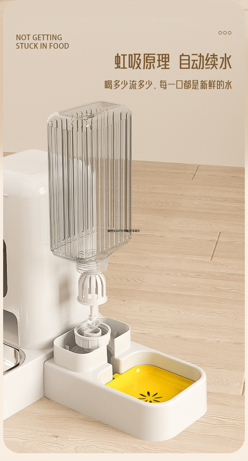 1453c232-0460-46de-b4d0-1b30ce863b81.jpe