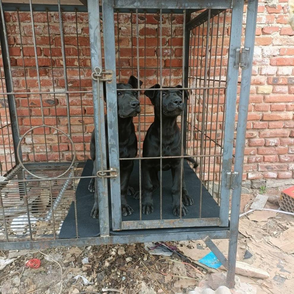 7872e013-0151-4c92-8281-bcb7bdbdd28b.jpe