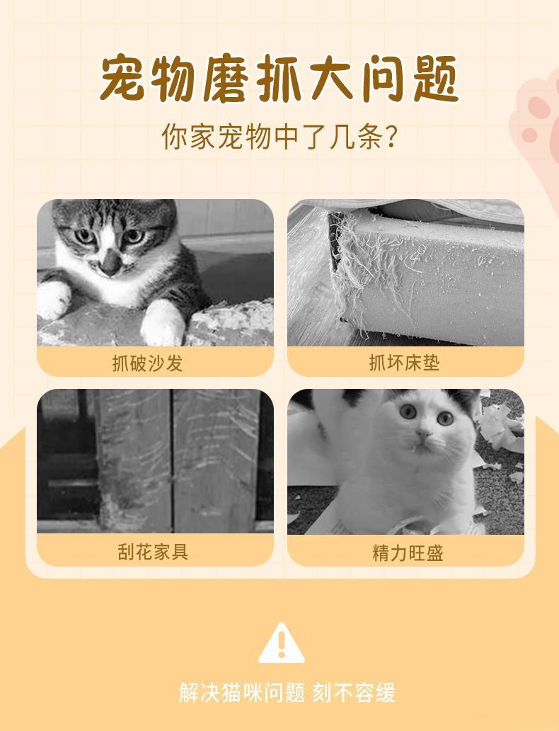 e9e70d68-96d4-4119-89a9-87b450cff90e.jpe