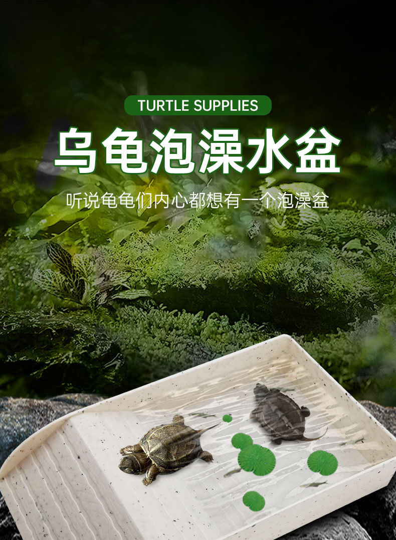 乌龟爬台详情_01.jpg