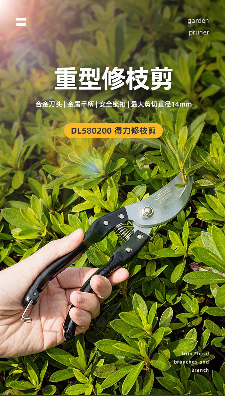 DL580200 (8).jpg