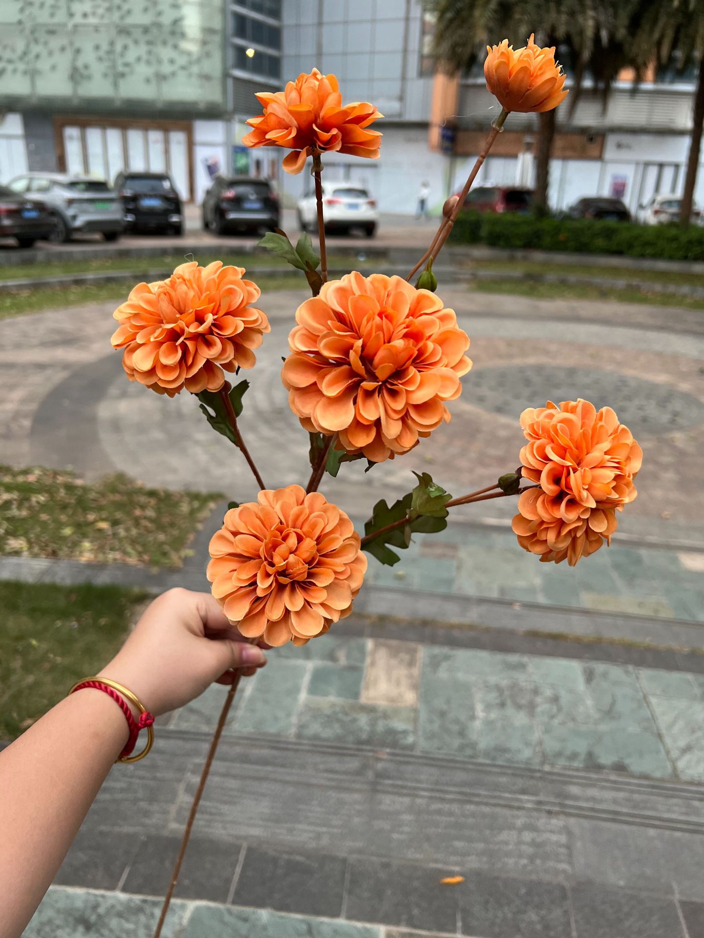 聚美-6头嫣然小丽花-详情_26 (17).jpg