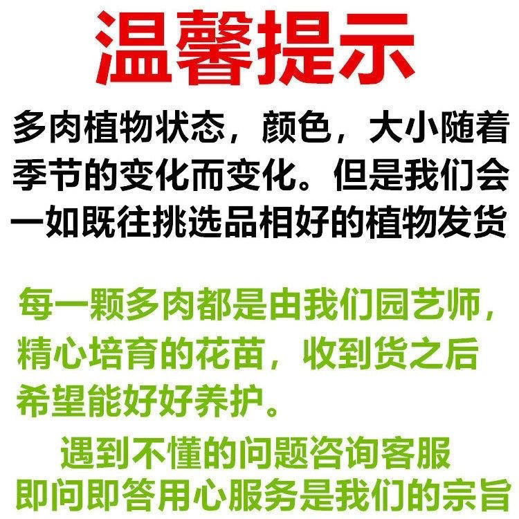 ae19dcdd-7ecf-49e3-8e04-09d7efb1b0fe.jpe