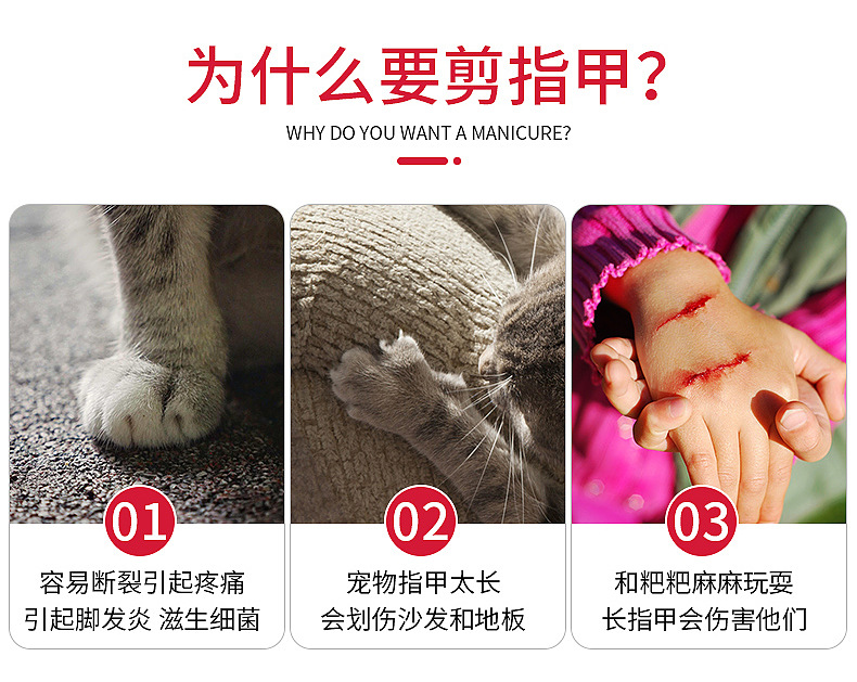 内页_04.jpg