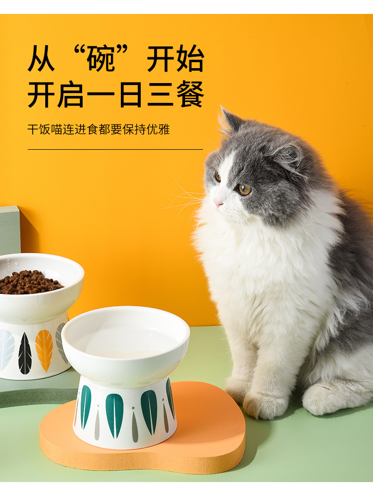 22猫碗_12.jpg