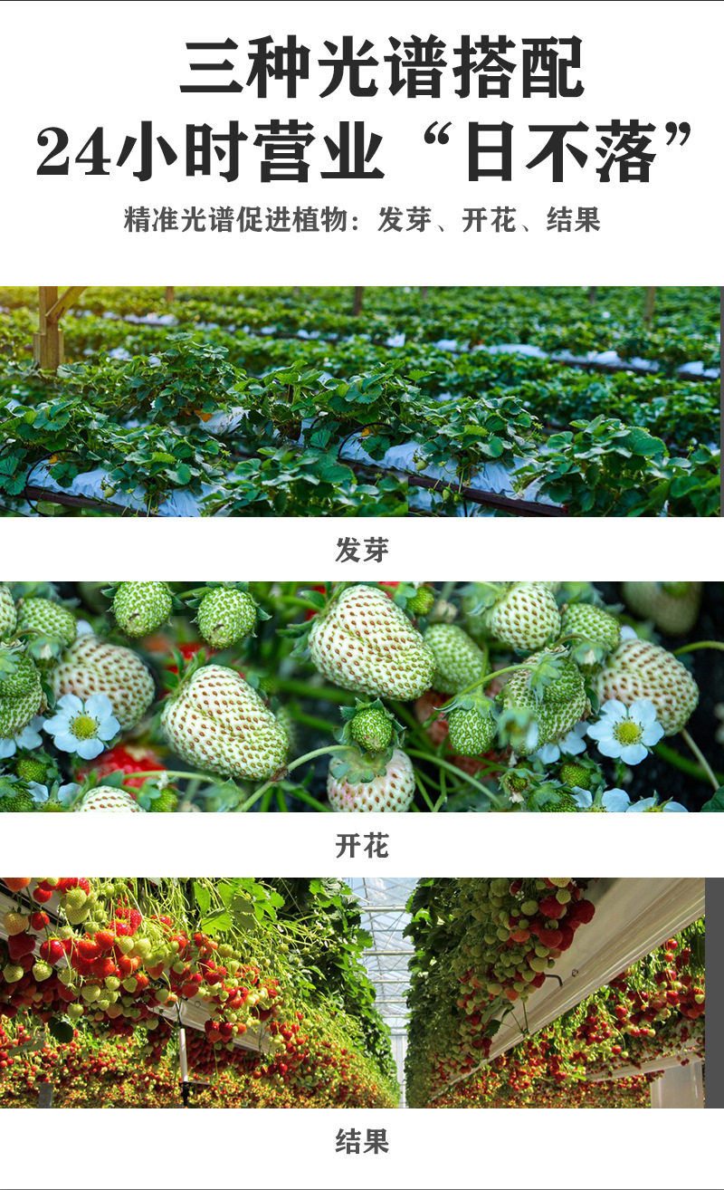 全光谱植物灯N款_05.jpg