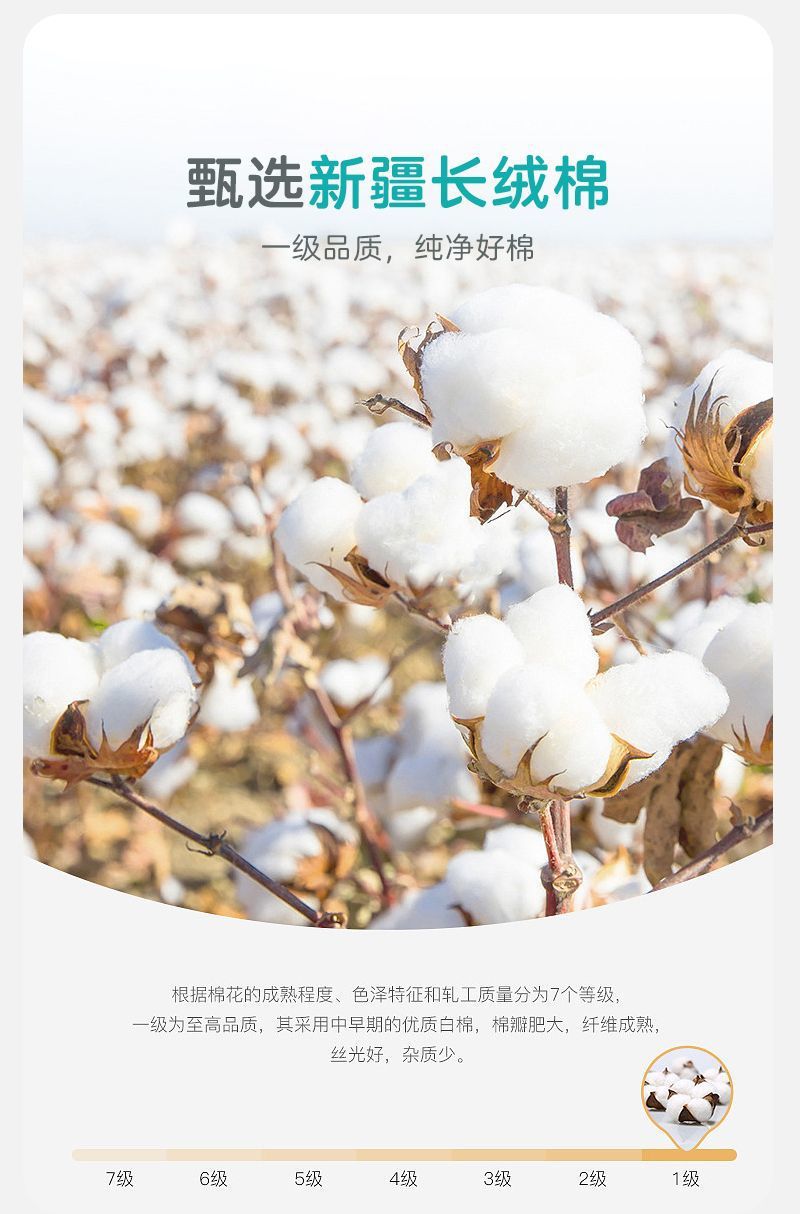 602d11e2-4620-4430-b173-657a19b82ea5.jpe