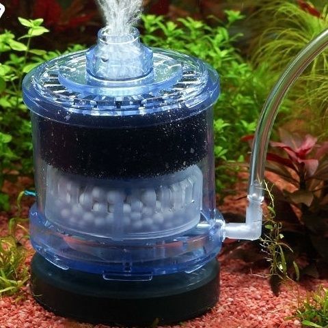 43faf123-5ce3-42b8-9107-4a70430eb19f.jpe