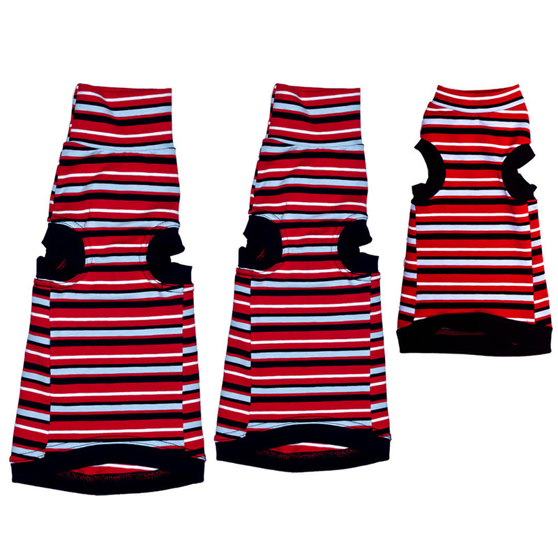 sphynx-cat-clothes-Chrissie-Pr