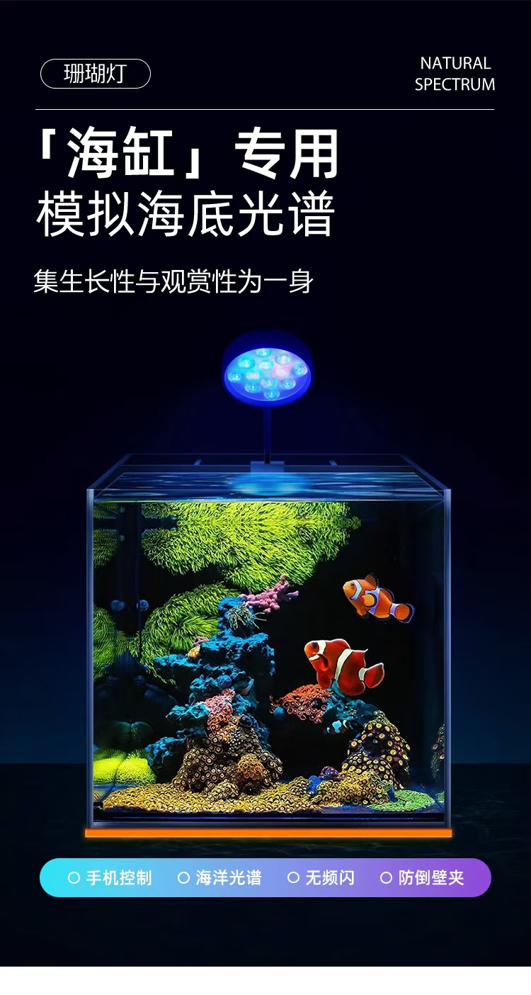 微信图片_20241121220943