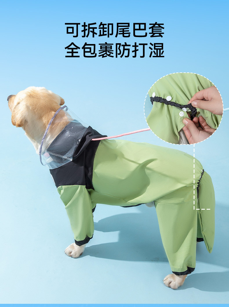 afa10f7d-a3d9-47fa-ac7f-2ff718f55a03.jpe