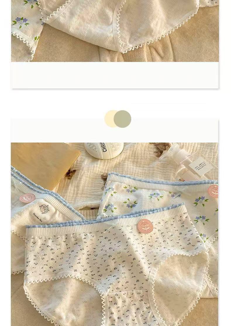 微信图片_20250326005625