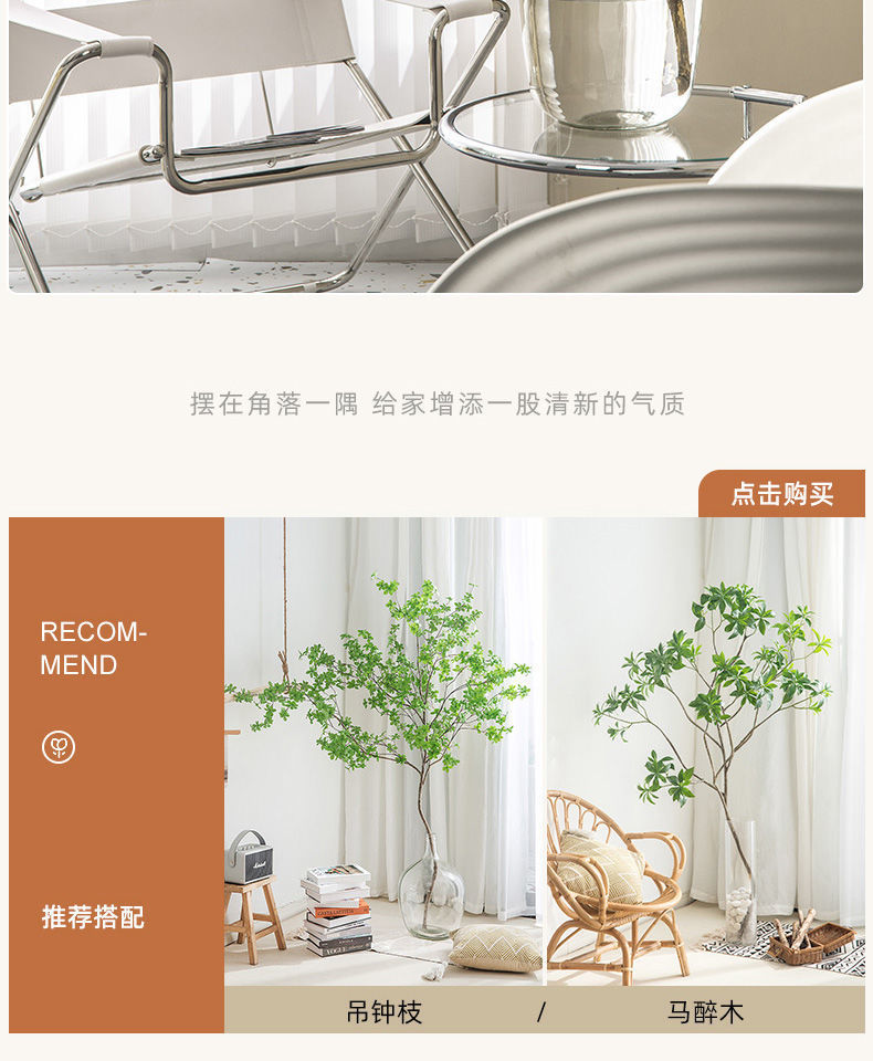 c435ff7f-70d5-4614-b25b-5bebdfddc1a6.jpe