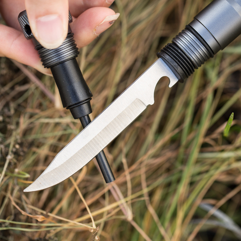 f39302a1-3028-4573-bb1e-5604b3779266.jpe