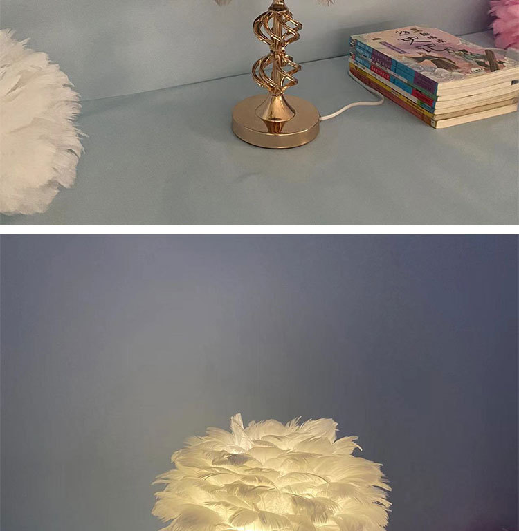 T6002羽毛台灯详情图_07.jpg