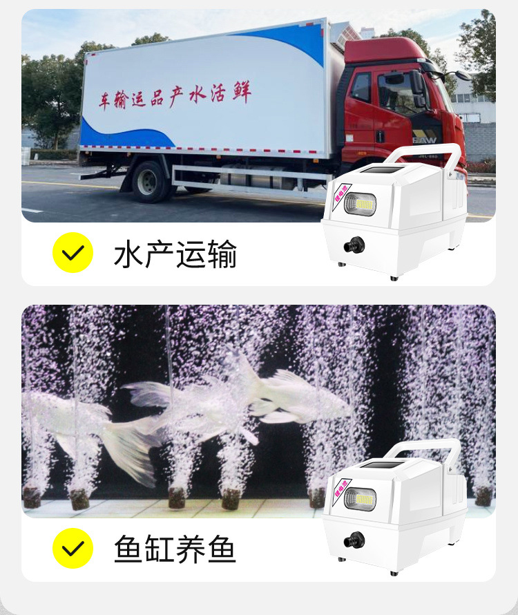 9c003fc4-377e-419a-9c3d-efcf63204762.jpe