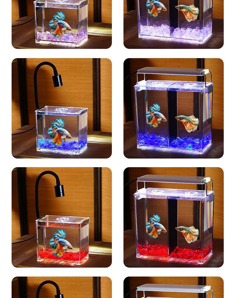 d142b004-4a4f-400c-87b7-0b1dcc1eb30b.jpe