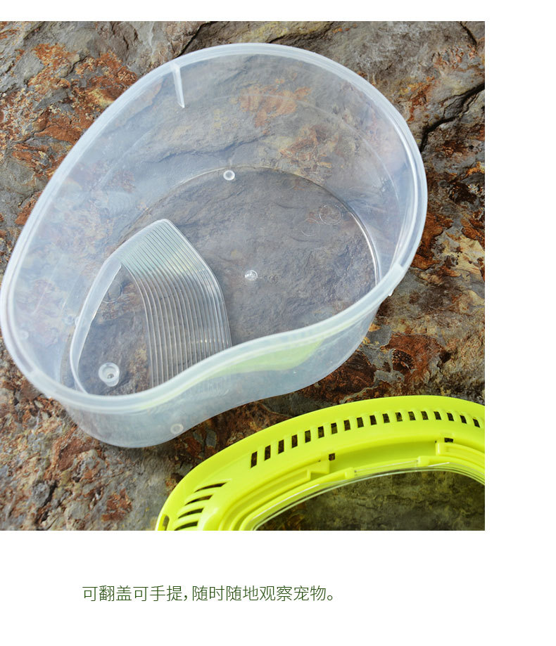 龟缸_13.jpg