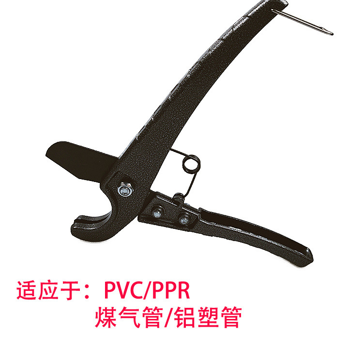 34c4389a-509e-4794-b2f3-5abe607c3f02.jpg