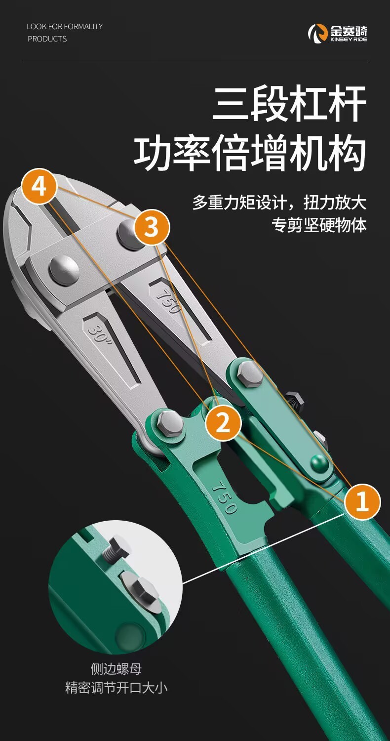 17395566-d370-4a33-8698-0cfa4237b0f8.jpe