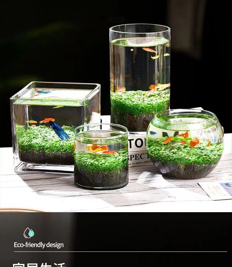 be1e97b8-a32b-47f0-8655-839102e7ecec.jpe