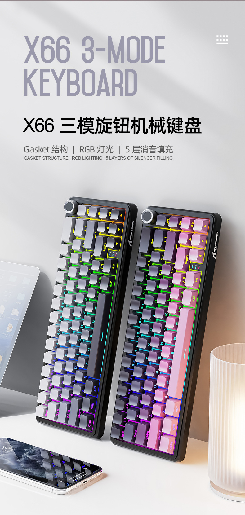 X66_01