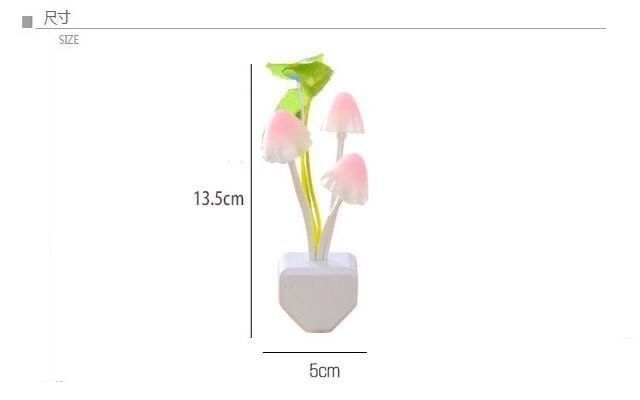 1ce9e0c0-a2a7-4b5b-a302-11743dd68d09.jpe