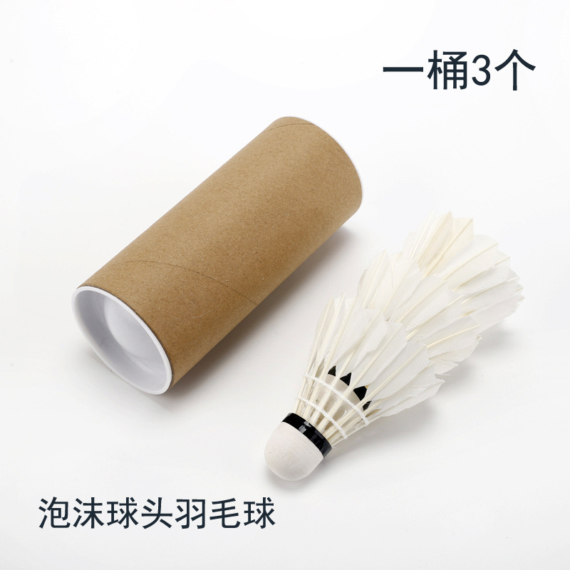 羽毛球 (3)
