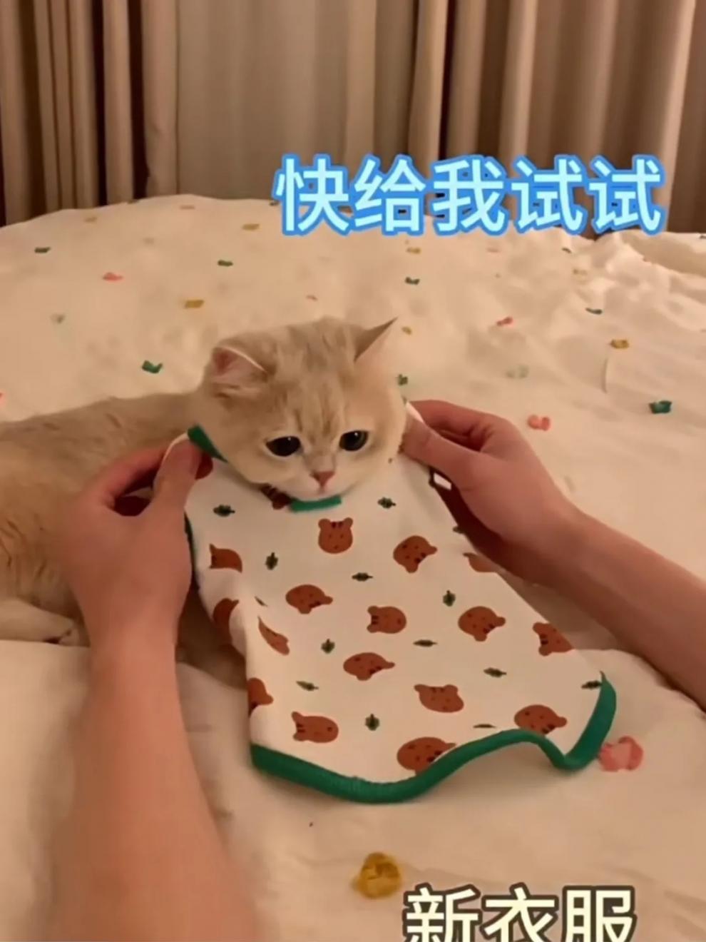 66cd7a46-438e-47f7-835d-63c73d7a12e8.jpe