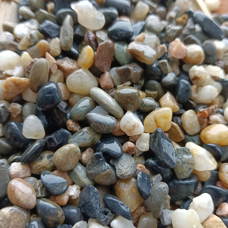 IMG_20220902_163337_Burst01.jp