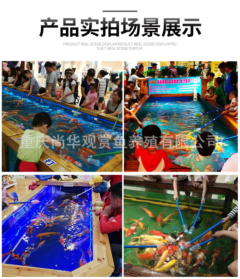详情页_10.jpg