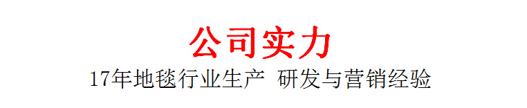 17年公司实力文字